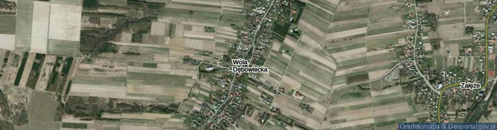 Zdjęcie satelitarne Wola Dębowiecka ul.